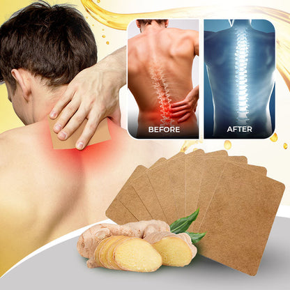 Lymphatic Detox Healing Ginger Patch (20 Pack)
