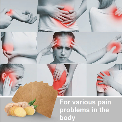 Lymphatic Detox Healing Ginger Patch (20 Pack)