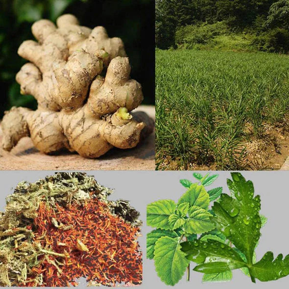 Lymphatic Detox Healing Ginger Patch (20 Pack)