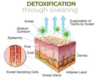 Detoxing Foot Pads
